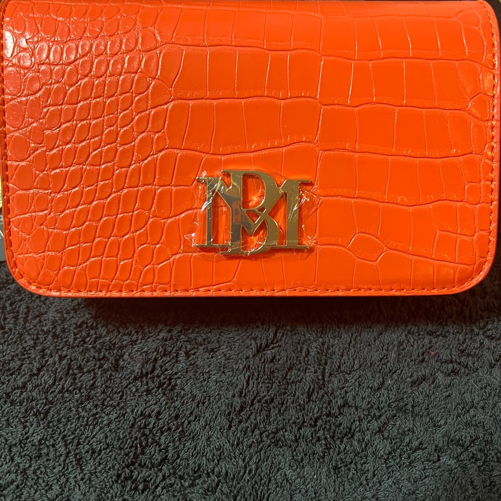 Badgley Mischka crossbody purse